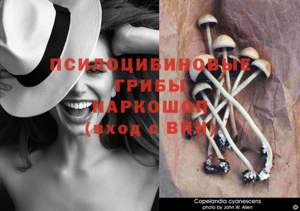 хмурый Горнозаводск