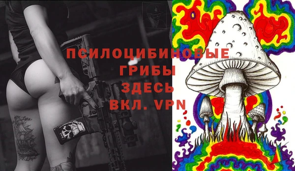 круглые Дмитров