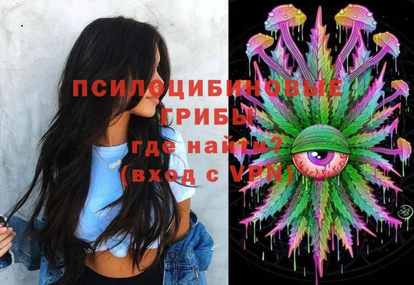 стаф Горно-Алтайск