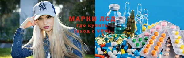 стаф Горно-Алтайск