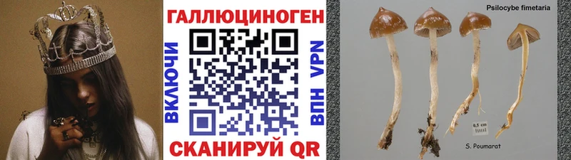 Купить закладки  Макарьев  Псилоцибиновые грибы Magic Shrooms 